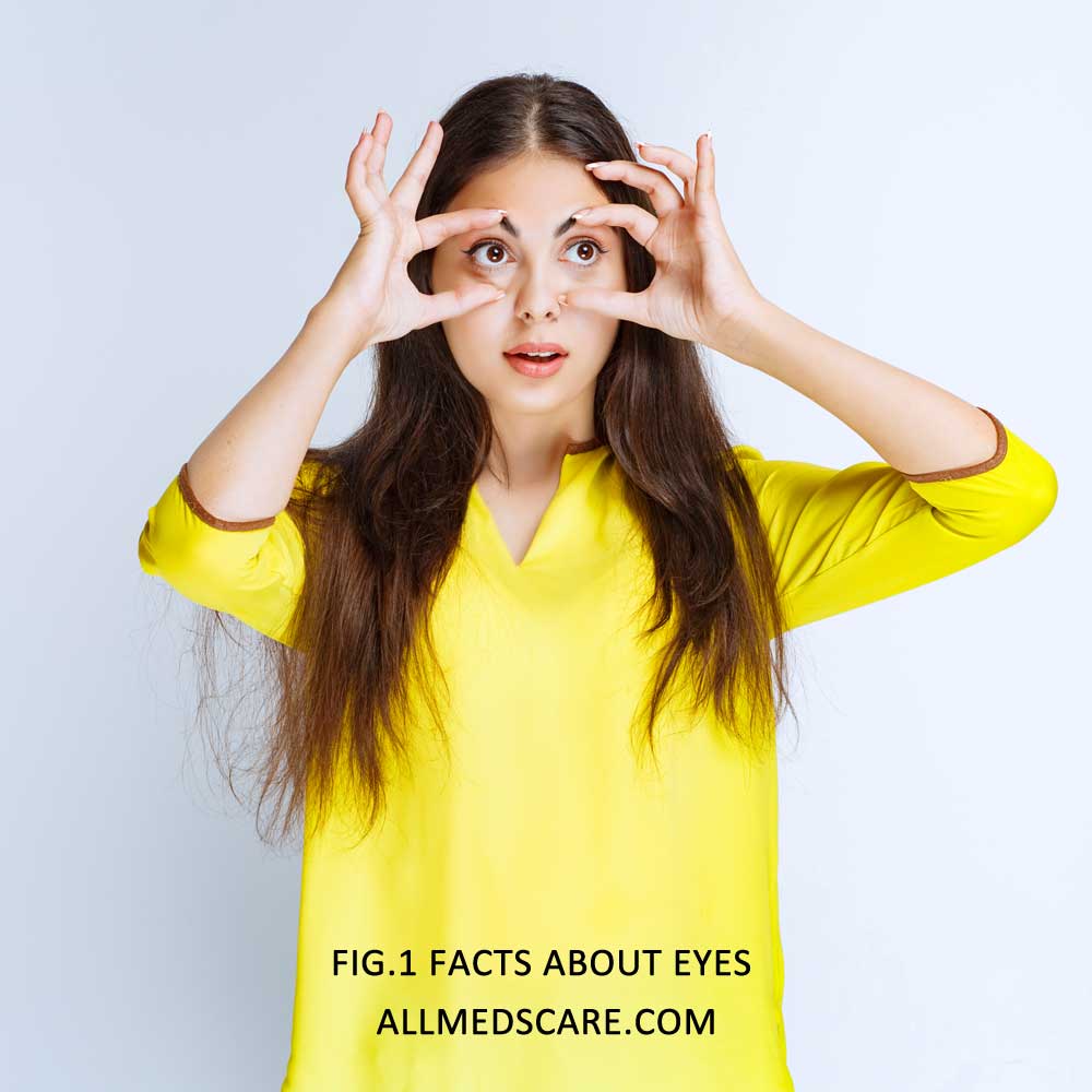 Eyes- Important Sensory organs - Read Details