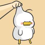 sean zhang Profile Picture